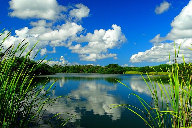 Everglades National Park Self-Guided Audio Tour - Pine rocklands at Pinelands Trailhead