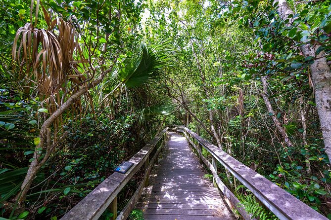 Everglades National Park Self-Guided Audio Tour - Mahogany Hammock and the park’s enclosed world