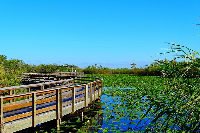 Everglades National Park: Self Guided Driving Audio Tour - Pa-Hay-Okee gives you the big Everglades view