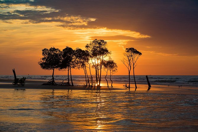 Explore Delightful Darwin: Self-Guided Audio Tour - Key points before you set out