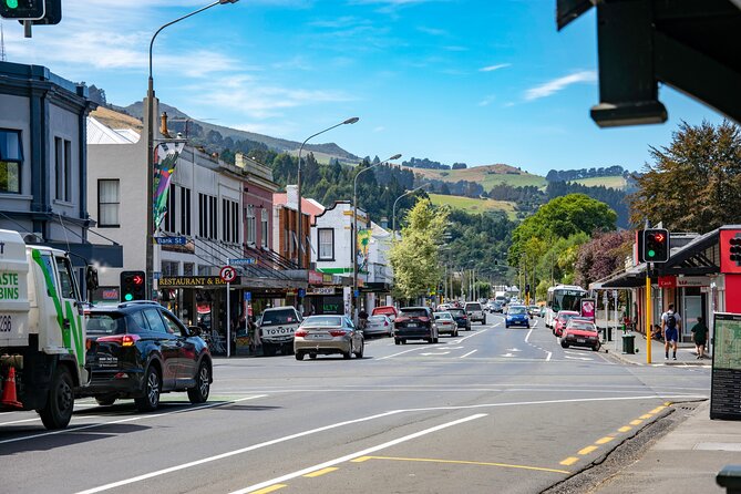 Explore Dunedin: Self-Guided Audio Tour Adventure - Key points at a glance