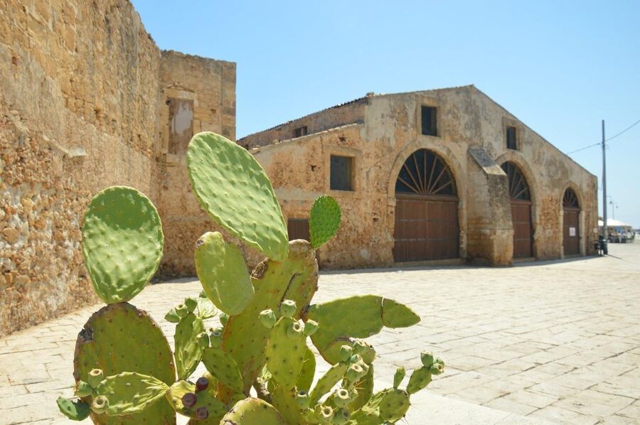 From Catania: Siracusa, Ortigia, Marzamemi audio-guided tour - Neapolis and the Greek story of Syracuse