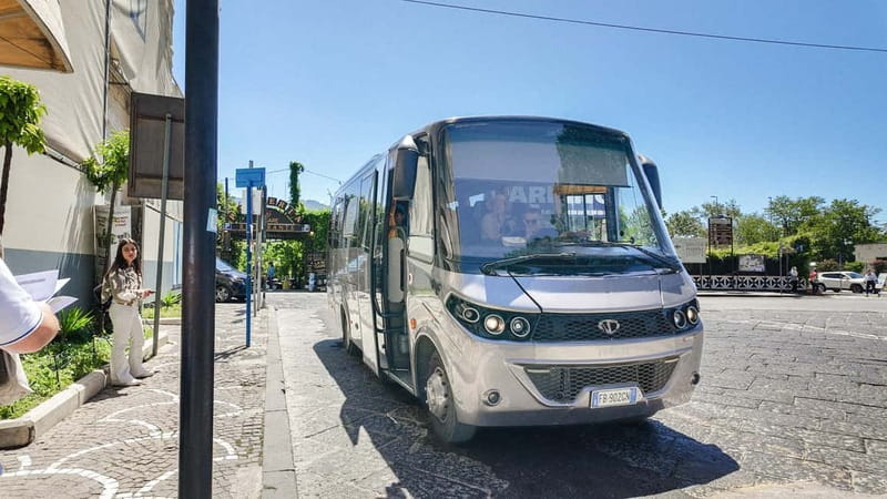 From Pompeii: Mount Vesuvius with bus, ticket and audioguide - The 45-minute ride up the mountain
