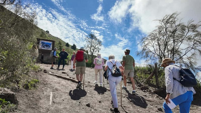 From Pompeii: Mount Vesuvius with bus, ticket and audioguide - What the driver does, and what the tour does not promise