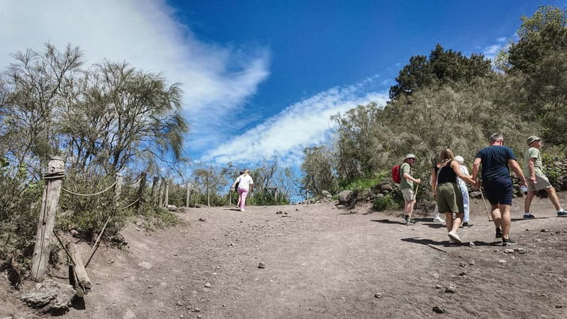From Pompeii: Mount Vesuvius with bus, ticket and audioguide - Who should book this experience