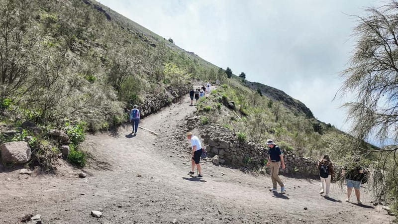 From Pompeii: Mount Vesuvius with bus, ticket and audioguide - Useful booking details for your Pompeii day
