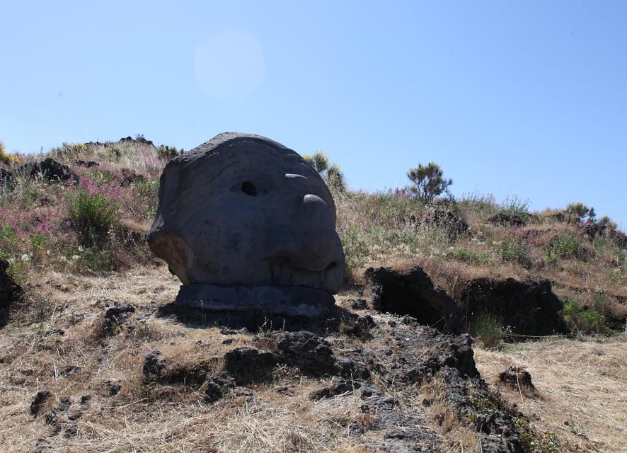 From Pompeii: Vesuvius Entry with Transfer and Audioguide - Price and value at $55 per person
