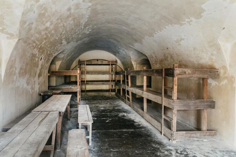 From Prague: Terezin Concentration Camp Guided Tour w/ Audio - Timing, comfort, and the cost of the outing