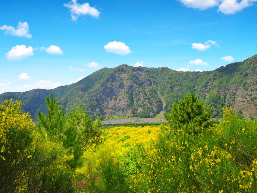 From Salerno: Vesuvius & Pompeii with audioguide - What the $124.61 price really covers