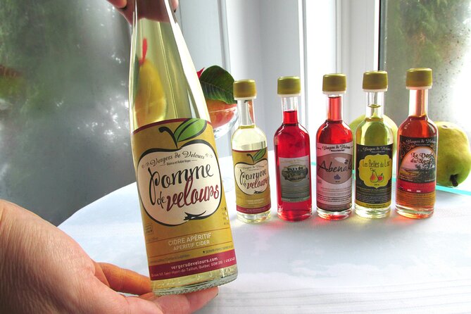 Fruit alcohol tasting + Velvet Orchards audio tour - Four Nordic spirits with a Lac-Saint-Jean view