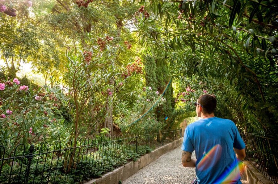 Granada: Alhambra Entry Ticket with Audio Guide - Alcazaba Fortress and the best wide views