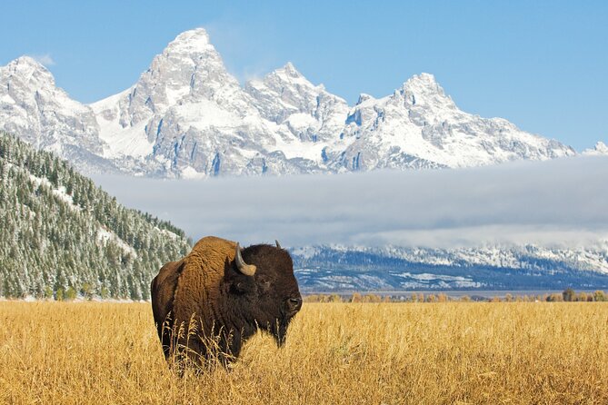 Grand Teton Self-Guided Driving Audio Tour - Jenny Lake and Cascade Canyon