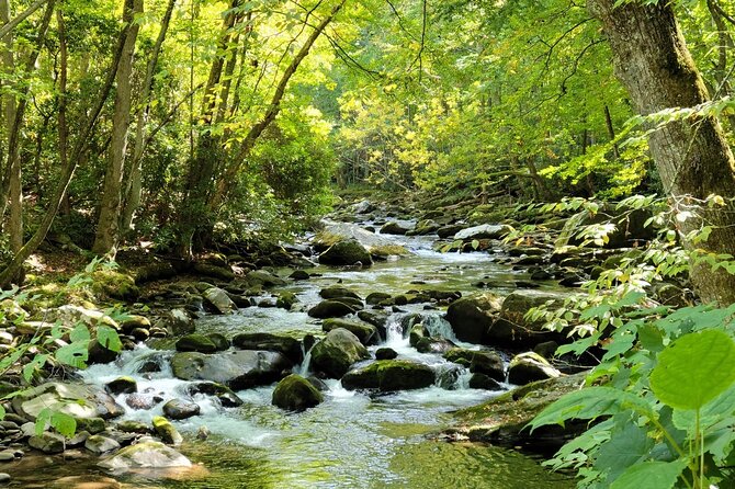 Great Smoky Mountains National Park Self-Guided Audio Tour - Elkmont and Laurel Falls add the best short outdoor breaks