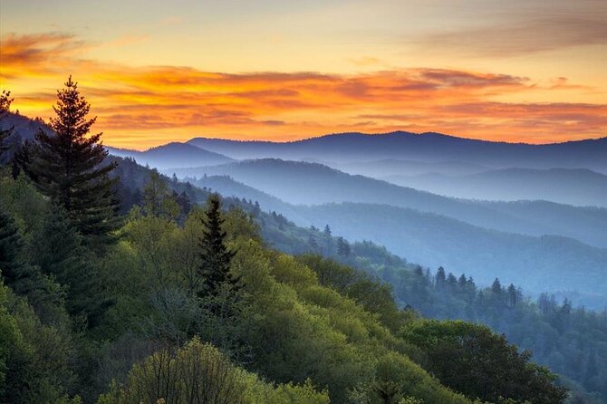 Great Smoky Mountains National Park Self-Guided Audio Tour - Cades Cove rewards patience