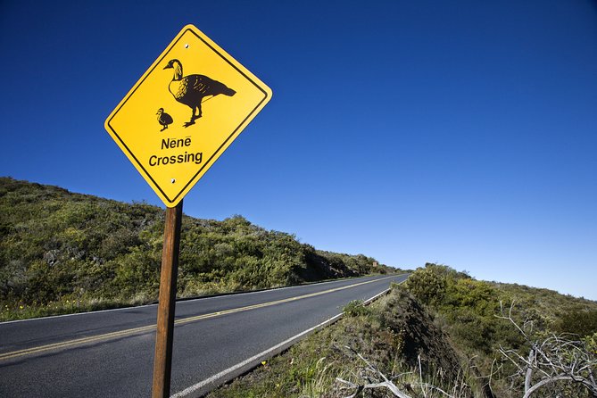 Haleakala Sunset and Stargazing Audio Tour - Leleiwi Overlook is worth more than a quick photo