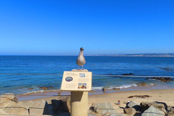 Historic Cannery Row: A Self-Guided Audio Tour of John Steinbeck's Monterey - A historic view inside The Clement Monterey