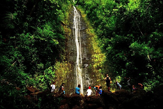 Honolulu Rainforest Self-Guided Audio Tour - Punchbowl and Honolulu’s botanical gardens