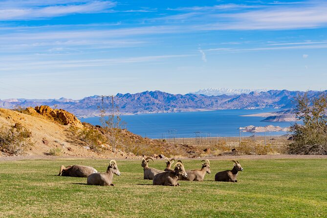 Hoover Dam and Lake Mead Self-Guided Audio Tour - The 33 Hole Overlook and canyon country