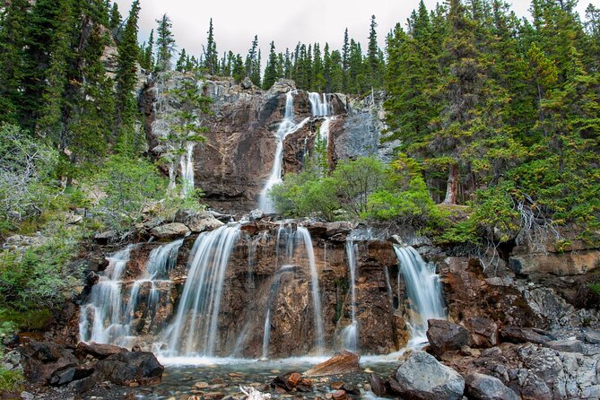 Icefields Parkway Self-Guided Driving Audio Tour - Honeymoon Lake, Sunwapta Falls, and the middle stretch