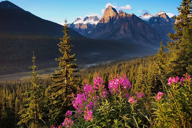 Icefields Parkway Self-Guided Driving Audio Tour - Three glacier trails for different levels of energy