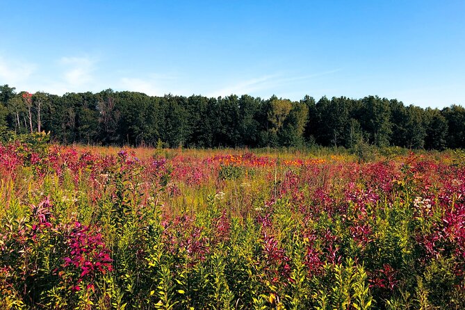 Indiana Dunes National Park Self-Guided Audio Tour - Century of Progress homes and the eastern beaches