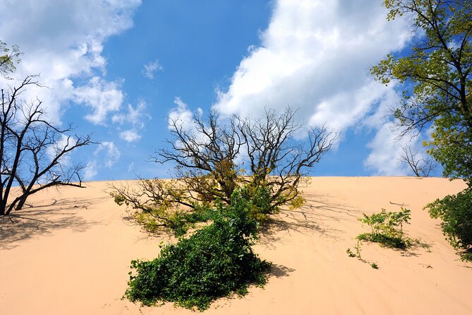 Indiana Dunes National Park Self-Guided Audio Tour - Glenwood Dunes and the visitor center