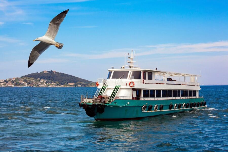 Istanbul: Bosphorus Strait Sightseeing Cruise & Audio Guide - Rumeli Hisarı and the narrow middle section