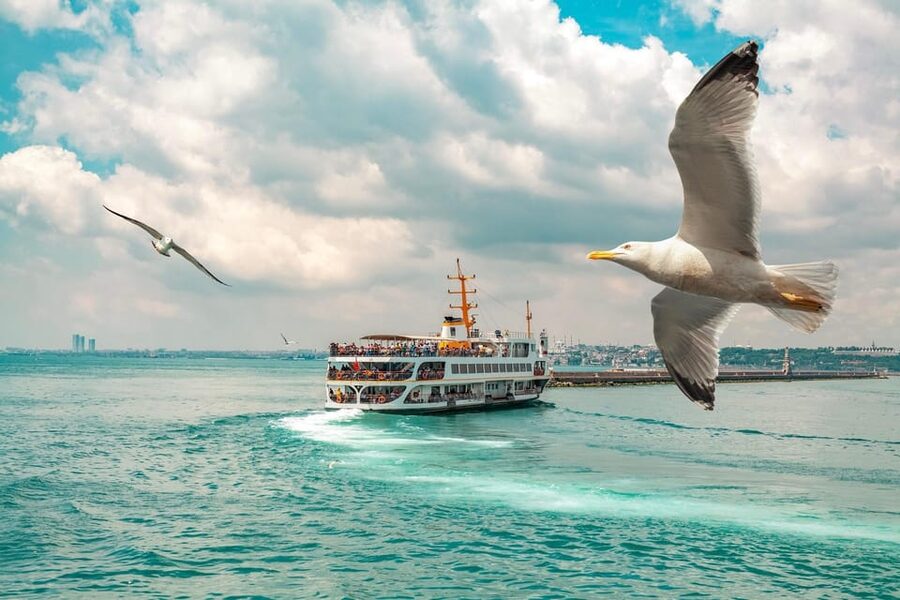Istanbul: Bosphorus Strait Sightseeing Cruise & Audio Guide - Audio guide or live guide?