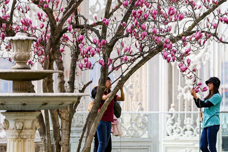 Istanbul: Dolmabahce Palace and Harem Fast-Track & Audio - How good is the audio guide?