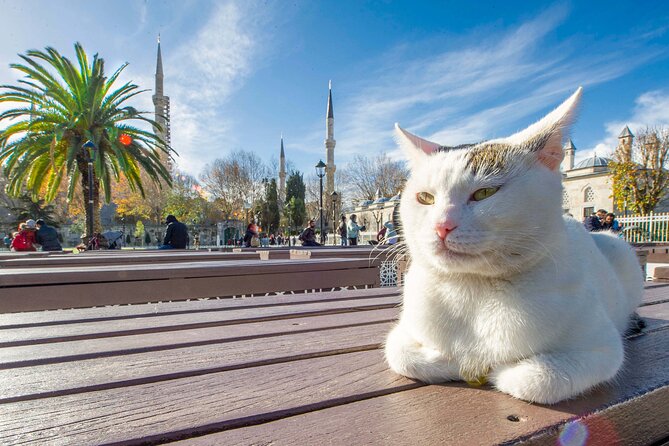 Istanbul Walking Tour with Audioguide on Your Smartphone - The Column of Constantine, Nuruosmaniye Mosque, and Grand Bazaar