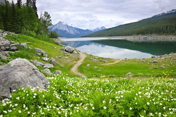 Jasper National Park Self-Guided Driving Audio Tour - The Athabasca and Little Snake River area