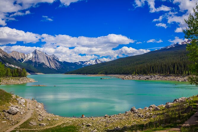 Jasper National Park Self-Guided Driving Audio Tour - The Pyramid Bench wildlife corridor
