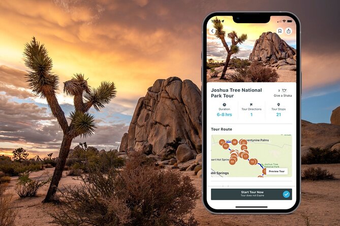 Joshua Tree National Park Self-Guided Audio Tour - Lost Palms Oasis and Cottonwood Visitor Center