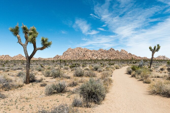 Joshua Tree National Park Self-Guided Driving Audio Tour - From Joshua Tree town to Samuelson’s Rock