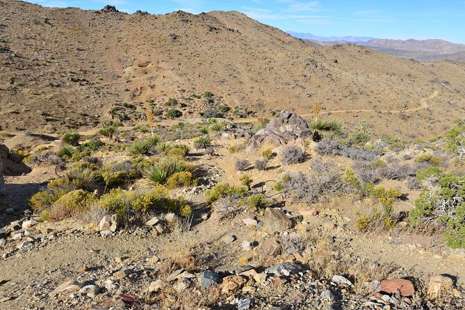 Joshua Tree National Park Self-Guided Driving Audio Tour - Boulders, climbers, and Hidden Valley