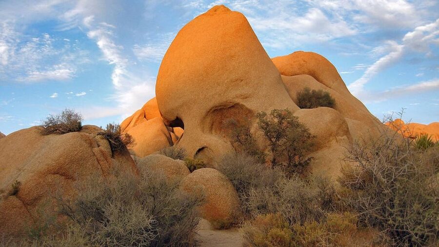 Journey into Joshua Tree: Audio Driving Tour and Local Guide - Quail Springs and Boy Scout Trail