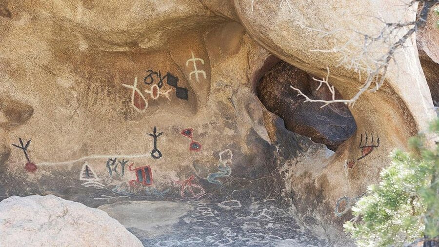Journey into Joshua Tree: Audio Driving Tour and Local Guide - Cholla Cactus Garden is a memorable finish