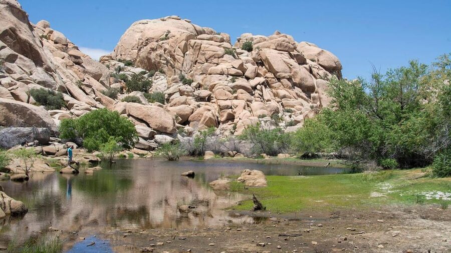Journey into Joshua Tree: Audio Driving Tour and Local Guide - Download the app before you reach the desert