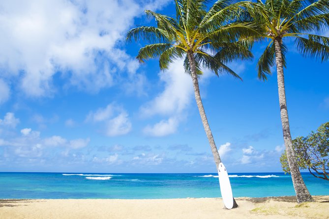 Kauai Wailua Valley & Waterfalls Audio Driving Tour - A useful food route through local stops