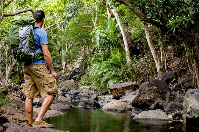 Kauai Wailua Valley & Waterfalls Audio Driving Tour - Who should use this Kauai audio tour?
