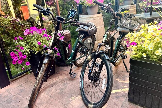 Kelowna E-Bike Bee Tour, Tastings, Organic Lunch & Audio Guide - Why the e-bike changes the day