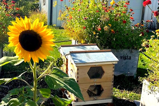 Kelowna E-Bike Bee Tour, Tastings, Organic Lunch & Audio Guide - Honey wine, driving, and the practical value of the package