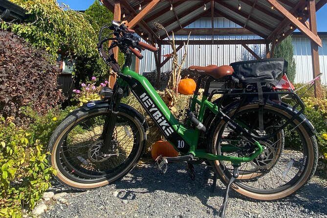 Kelowna E-Bike Bee Tour, Tastings, Organic Lunch & Audio Guide - Who will enjoy this most