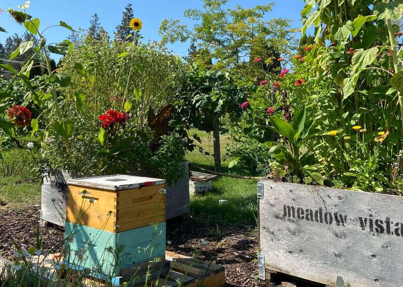 Kelowna: E-Bike Bee Tour w/ Tastings, Lunch, and Audioguide - Four meads and a farm-to-table lunch