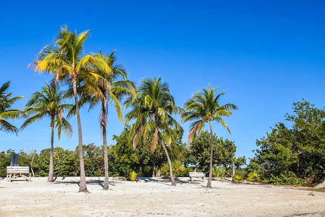 Key West and Overseas Highway Self-Guided Audio Tour - Aquarium Encounters and Crane Point Hammock