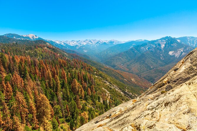 Kings Canyon National Park Self-Guided Audio Tour - Cabins, rushing water, and the best short walks