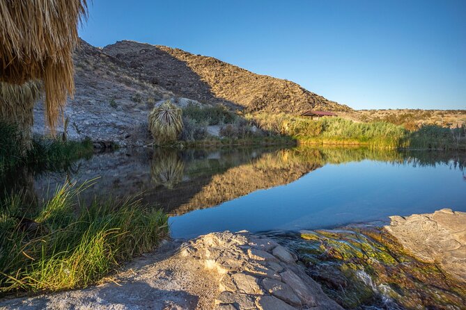 Lake Mead & Valley of Fire State Park Self-Guided Audio Tour - Wetlands Trail: the best stop for birdwatching