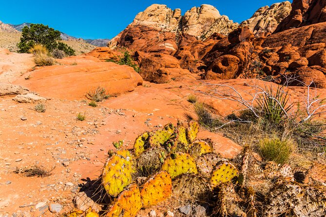 Las Vegas Day Trips: 3-Day Self-Guided Audio Tour - Day 2: Red Rock Canyon’s one-way scenic loop