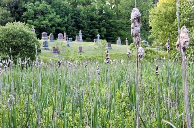 Layers of Natural History: Picton Nature Self-Guided Audio Tour - A peaceful park, flooding, and big fish