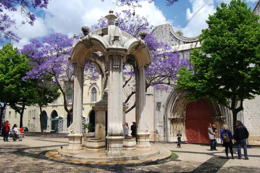Lisbon: City Audio Guide with 24-Hour Transportation Pass - Who will enjoy this format most